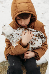 Boy and chicken