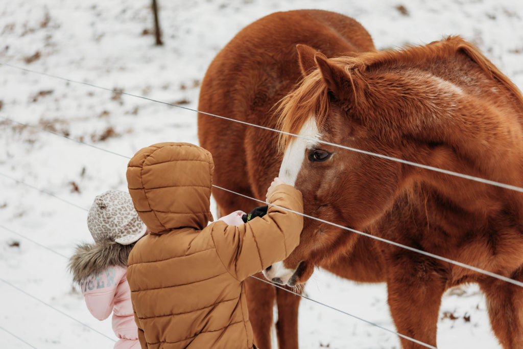 Kieds and horse